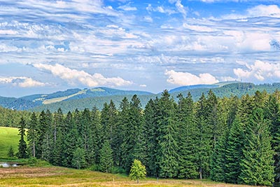 Ausblick von der Halde in Richtung Feldberg