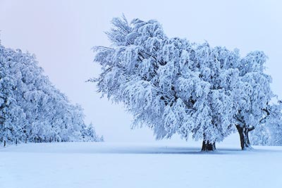 Winter auf dem Schauinsland